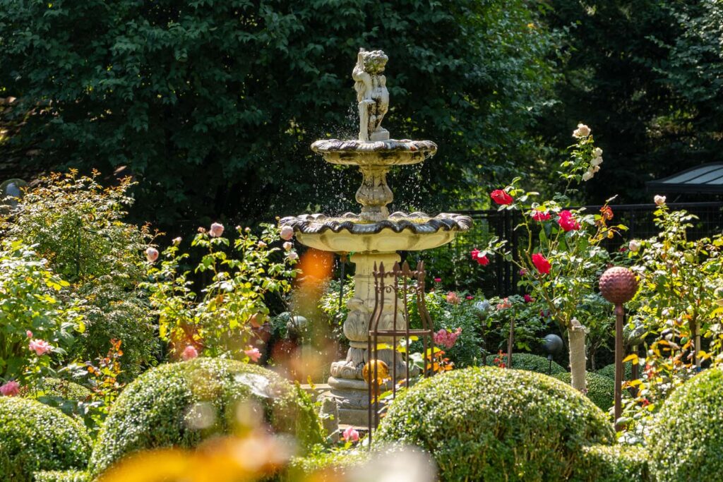 Springbrunnen umgeben von Sträuchern