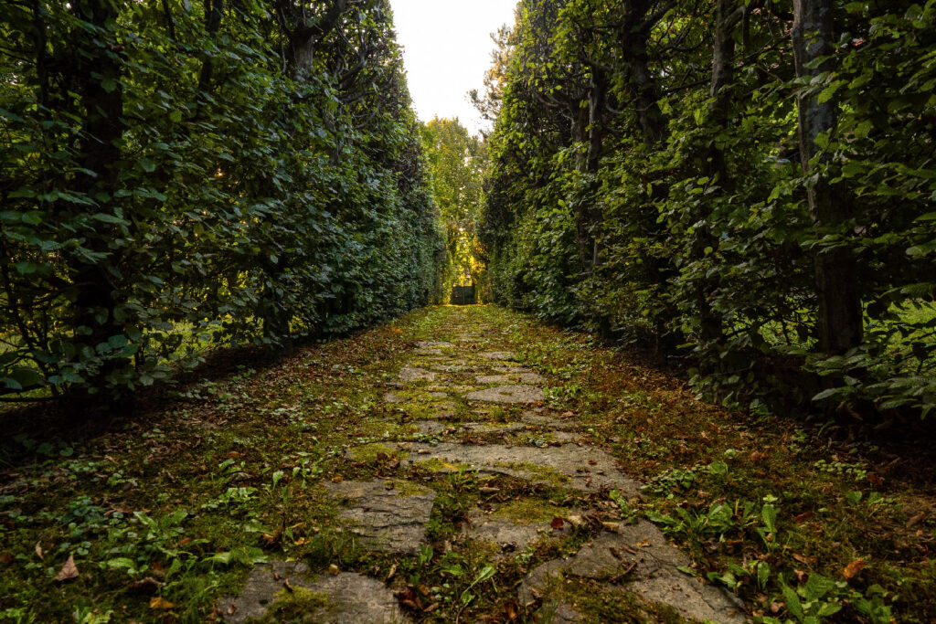 Allee durch den Schlossgarten